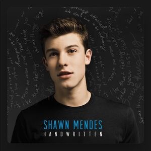 3 Shawn Mendez keychains